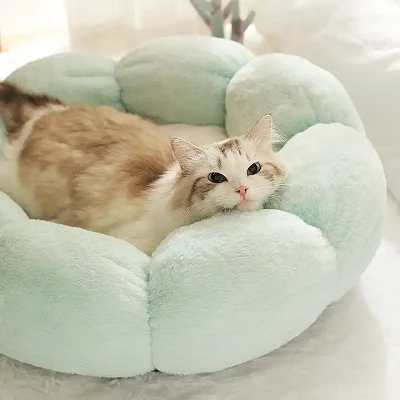 Dogs Beds Cushion