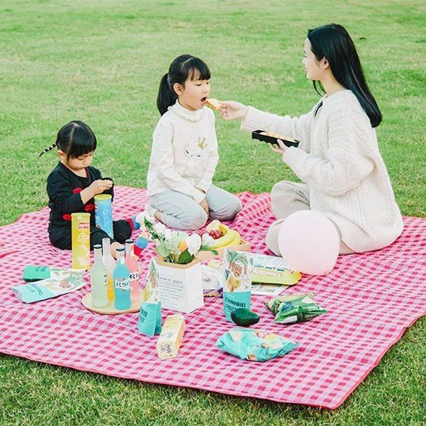 outdoor picnic blanket